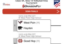 PREP VOLLEYBALL: Local teams open area tournament play with postseason advancement at stake