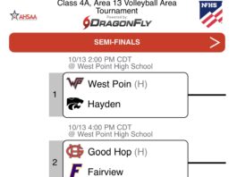 PREP VOLLEYBALL: Local teams open area tournament play with postseason advancement at stake