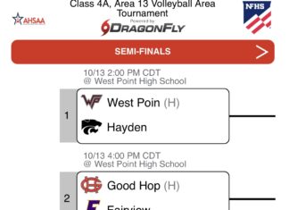 PREP VOLLEYBALL: Local teams open area tournament play with postseason advancement at stake