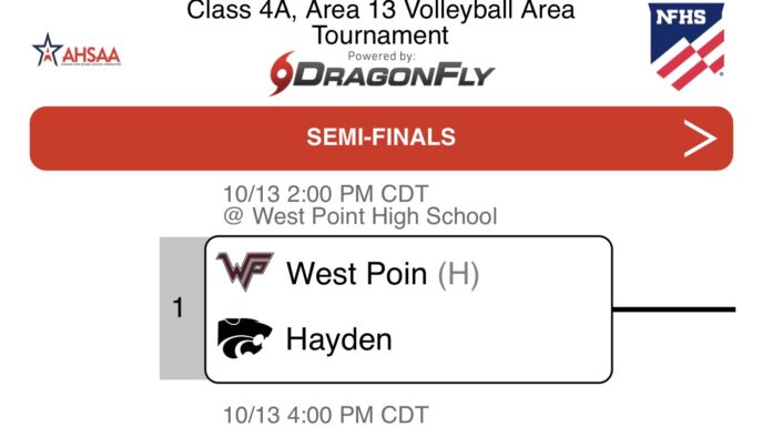 PREP VOLLEYBALL: Local teams open area tournament play with postseason advancement at stake