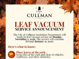 Cullman leaf vacuum service begins Nov. 2