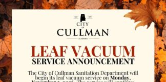 Cullman leaf vacuum service begins Nov. 2