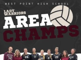 PREP VOLLEYBALL: West Point, Meek and Holly Pond claim area championships as 7 local teams advance