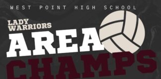 PREP VOLLEYBALL: West Point, Meek and Holly Pond claim area championships as 7 local teams advance