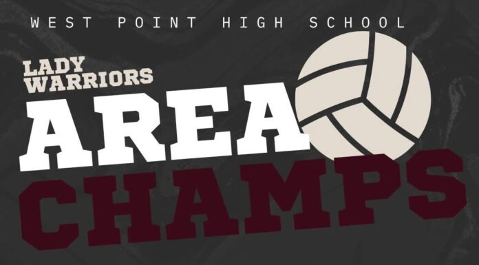 PREP VOLLEYBALL: West Point, Meek and Holly Pond claim area championships as 7 local teams advance