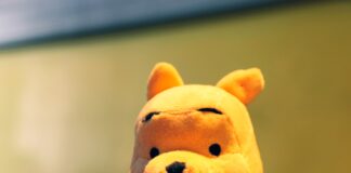 Oh, bother! Winnie-the-Pooh turns 100