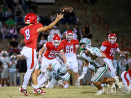 PREP FOOTBALL: Vinemont falls to Hokes Bluff 29-28 after late touchdown