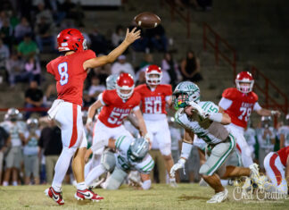 PREP FOOTBALL: Vinemont falls to Hokes Bluff 29-28 after late touchdown