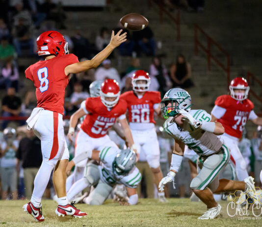 PREP FOOTBALL: Vinemont falls to Hokes Bluff 29-28 after late touchdown
