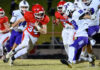 PREP FOOTBALL: Vinemont, Good Hope secure playoff berths as Addison claims region title